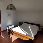 Con Giardino شقة *